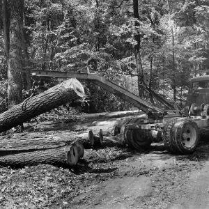 07-13-1964 Kaple Lumber Co. Timber harvest at Sacred Heart Seminary Farm-website
