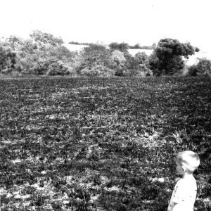07-24-1968 Ground Fire State Route 603-0001