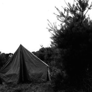 07-31-1976 #1-Website
