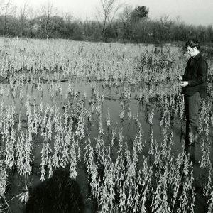 11-03-1972 Dorrian McKinney, SCS Trainee, examines flood damage to unharvested soybeans in the Blackfork-website