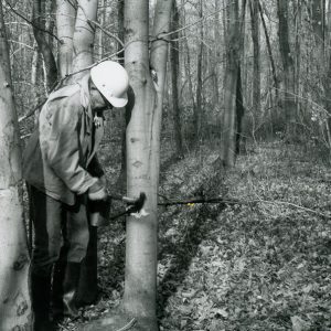 12-03-1980 Hampton Woodlot. Richland County Bob Mills frilling a young Beech tree prior to chemical application-website