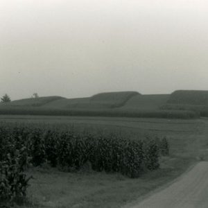 1990 Cedar Fork Tornado clean-up #10-website