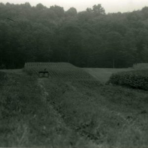 1990 Cedar Fork Tornado clean-up #11-website
