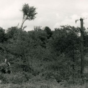 1990 Cedar Fork Tornado clean-up #14-website