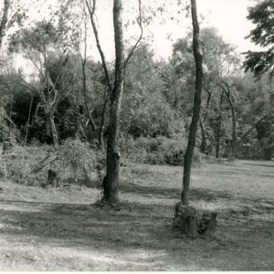 1990 Tornado clean-up Bellville-Johnsville Rd & I-71 #7-website