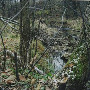 1992 Watson Woods in Lexington