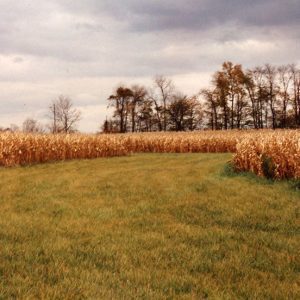 1999 Cooperator of year Dean Cook Farm#12-website