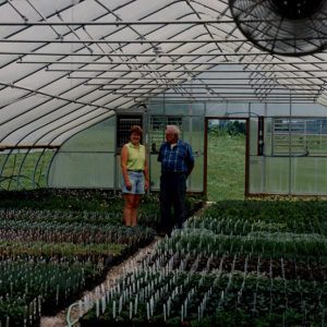 2003 Dale Broeske Beck’s Greenhouse-website