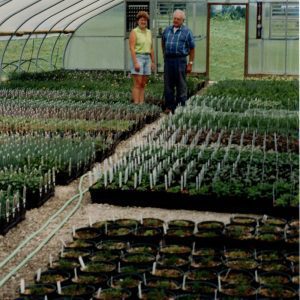 2003 Dale Broeske and____Beck’s Greenhouse-website