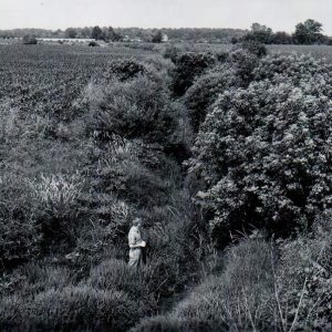 -6-28-1962-Main channel of Marsh Run 2 from Kuhn Rd. bridge near Roscoe Major farm-website