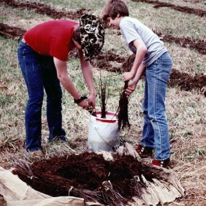Boys Scouts Tree Planting Project-Website