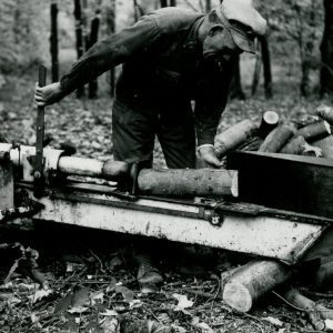 Cutting Tree Limbs (photo by Robert Mills)