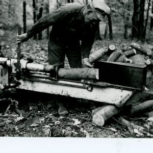 Cutting Tree Limbs
