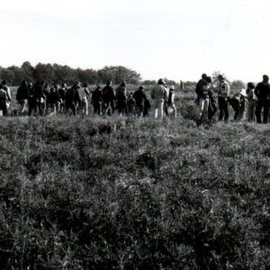 Land Judging#1-Website
