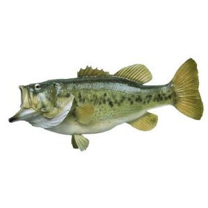 LargemouthBass