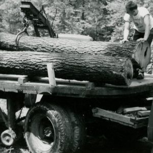 Log Being Loaded onto Truck (photo by Robert Mills)-002