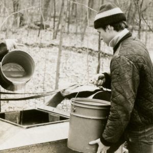 Making Maple Syrup-Using Draft Horses to Collect Sap (photo by Robert Mills)-003