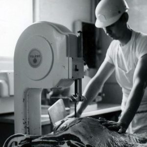 Man at a saw-0001