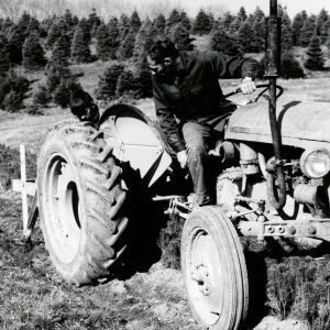 Man on tractor digging trench with tractor to plant trees-0001