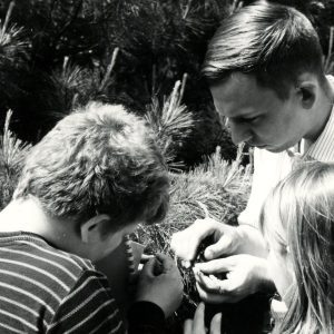 Man with boy and girl examining pine tree-0001