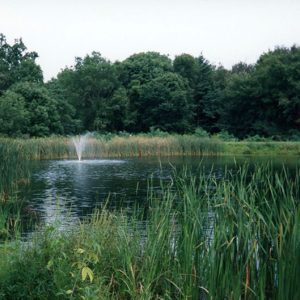 Pond Clinic #4-website