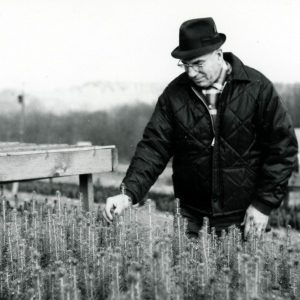 Robert Mills-0001