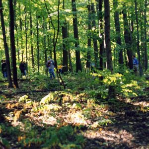 Forestry Contest at Rural Life Center