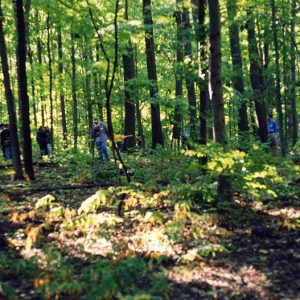 Forestry Contest at Rural Life