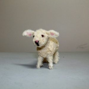 Sheep