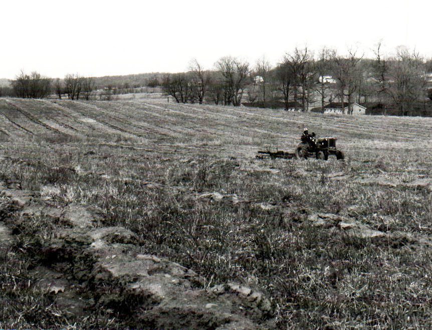 Treeplanting set-up J Wirick
Photo ID#: E2