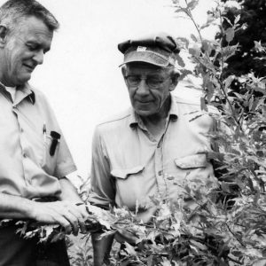 Two men examine a shrub .Photo by Robert Mills