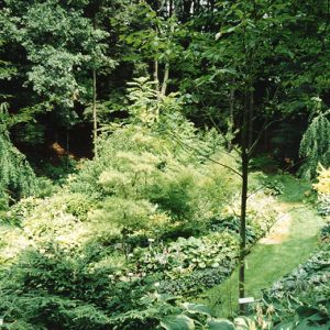 Wade & Gatton Nursery #1-website