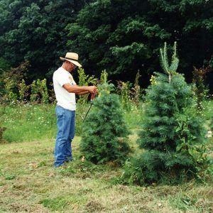 Wade & Gatton Nursery #14-website
