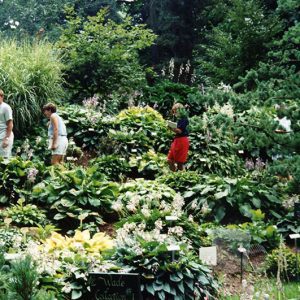 Wade & Gatton Nursery #16-website