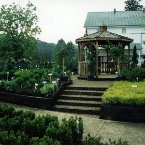 Wade & Gatton Nursery #21-website