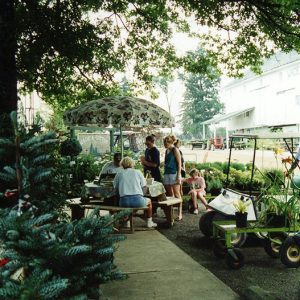 Wade & Gatton Nursery #3-website