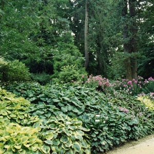 Wade & Gatton Nursery #6-website