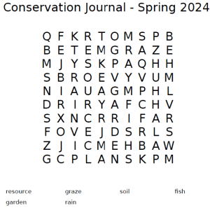 wordsearch