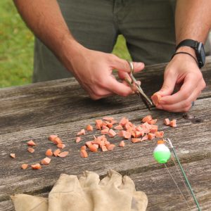 Fish Bait