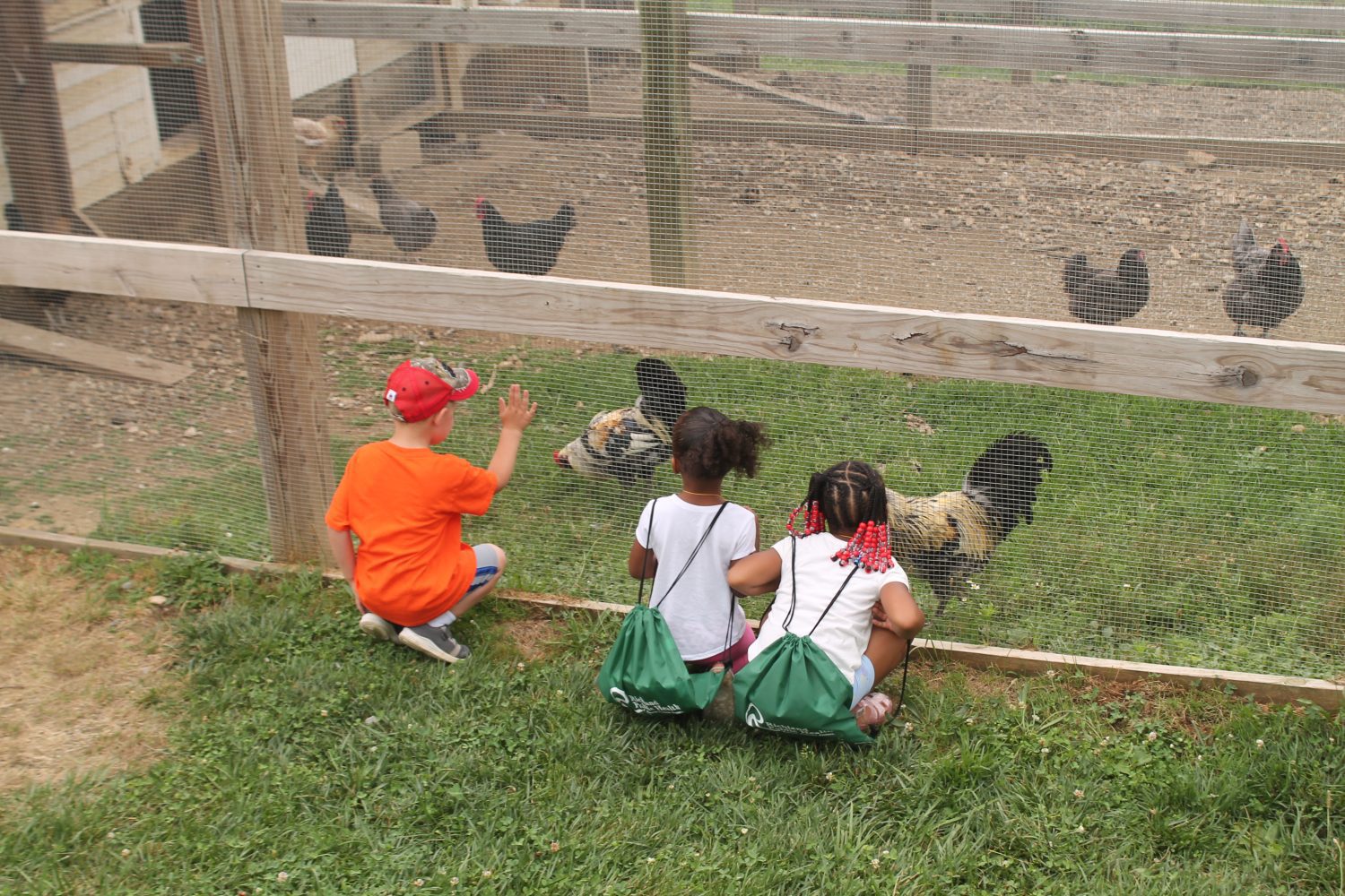 3 kids kneeling in front of a chicken coop admiring the chickens 