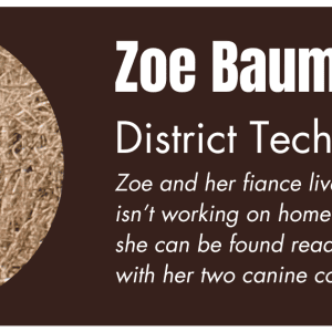 Zoe – Newsletter