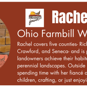 Rachel – Newsletter