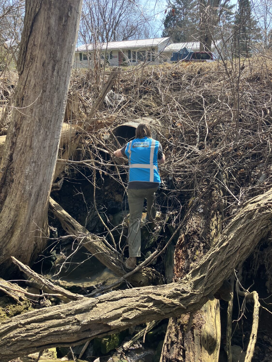 Sam standing on a log peering into an outfall pipe