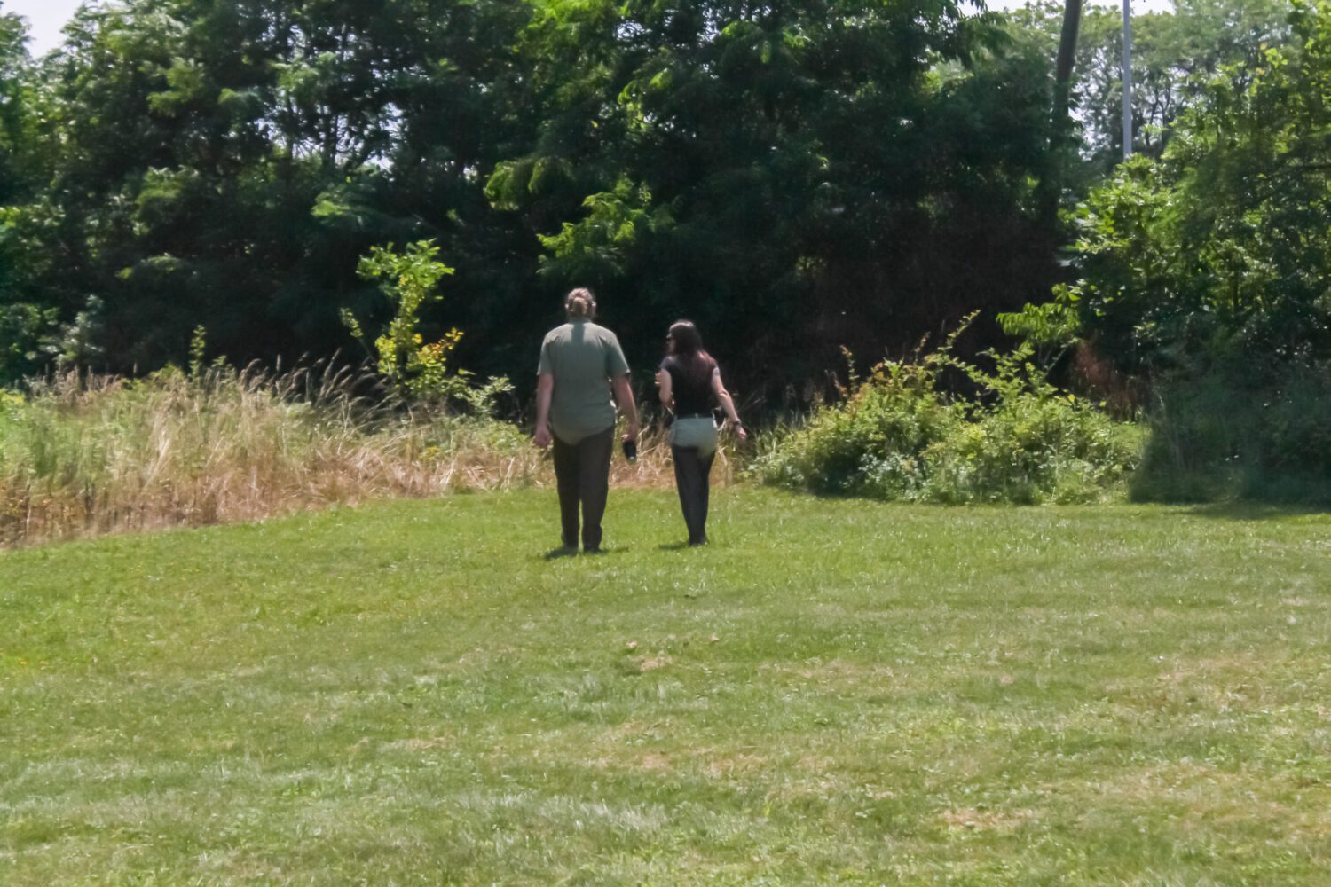 Two technicians with their backs turned towards the camera. They're wearing waders and approaching a stream. 
