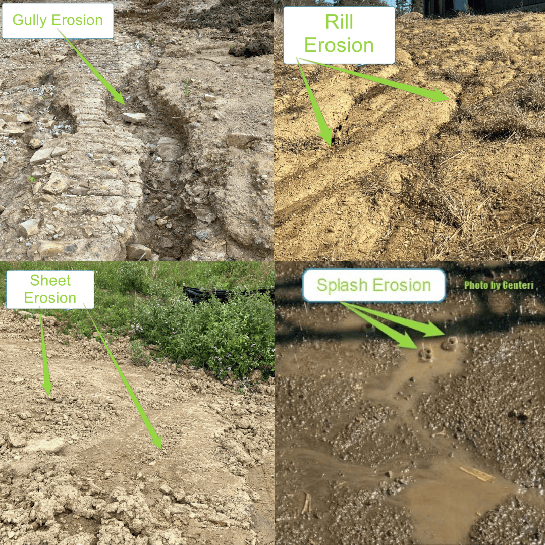 Collage of different types of erosion; gully, rill, sheet, and splash. Gully erosion is the most severe. 