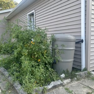 Rain Barrel ZB