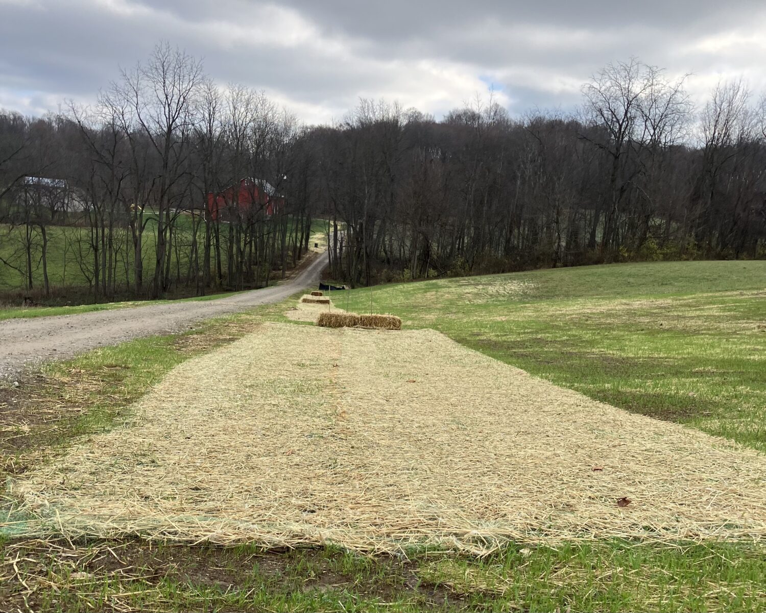 A hillside stabilized with an erosion control blanket. There are bales of hay used as check dams going down the slope.