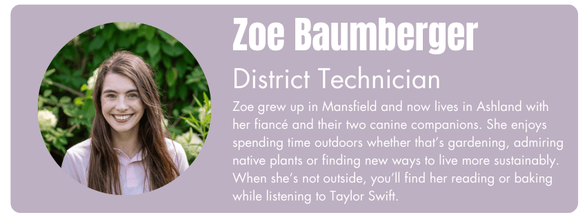 Photo of Zoe Baumberger, District Technician. Her bio reads "Zoe grew up in Mansfield and now lives in Ashland with her fiance and their two canine companions. She enjoys spending time outdoors whether that’s gardening, admiring native plants or finding new ways to live more sustainably. When she’s not outside, you’ll find her reading or baking while listening to Taylor Swift."