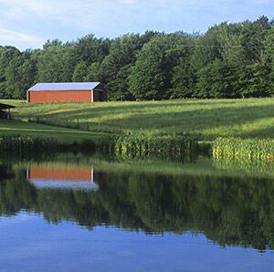 pond_07_wide