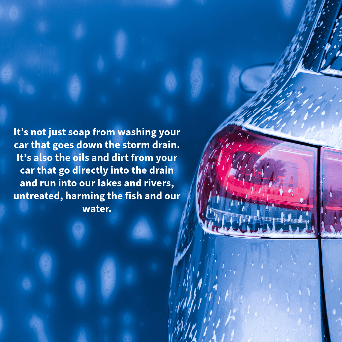 Graphic of a soapy car bumper being washed. Text reads "it's not just soap from washing your car that goes down the storm drain. It's also the oils and dirt from your car that go directly into the drain and run into our lakes and rivers, untreated, harming the fish and our water." 